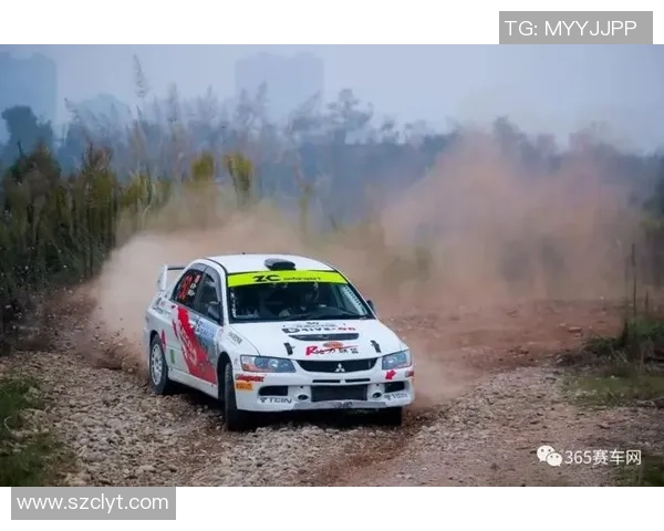 多国选手竞逐浙江龙游轿车拉力赛“魔鬼赛道”